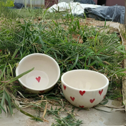 Striped Bowl (2 pieces)